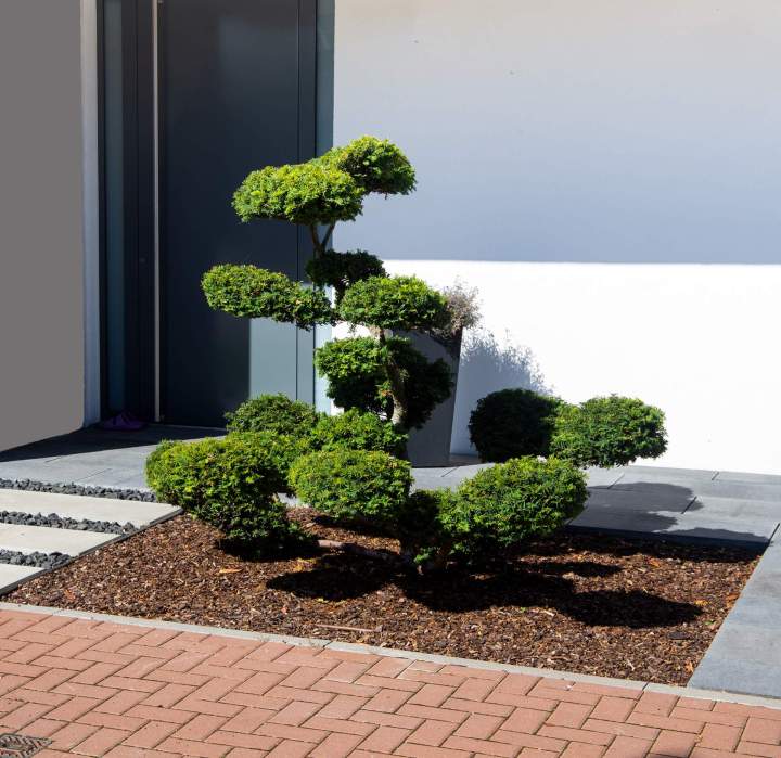 Jardin harmonieux Évreux